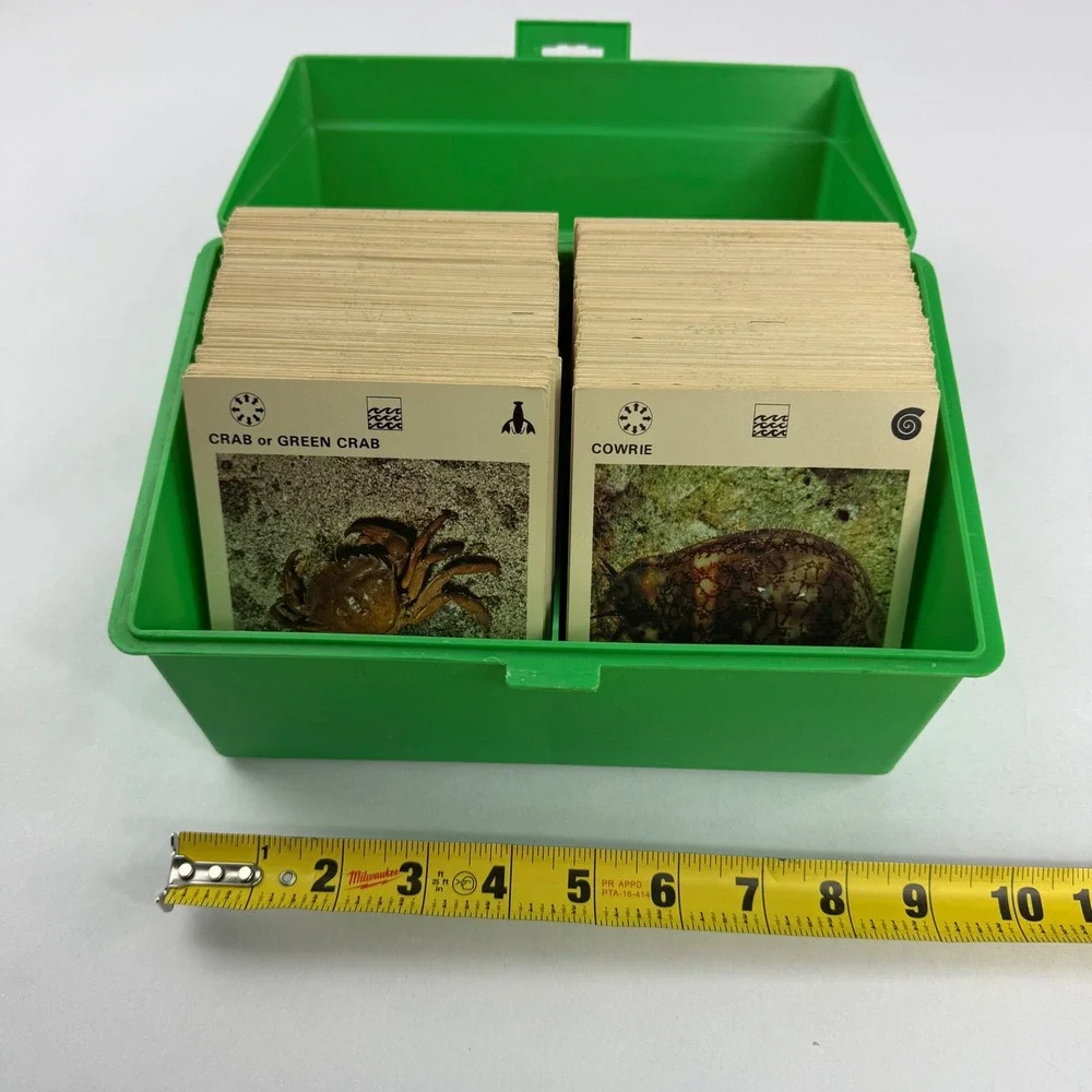 Vintage Illustrated Wildlife Treasury Green Case and Animal Fact Card Collection